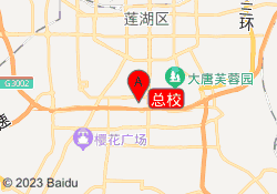 总校