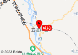 总校