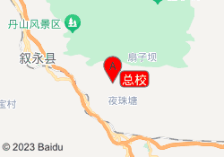 总校