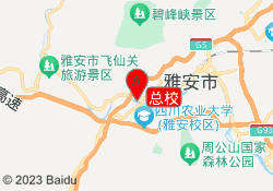 总校