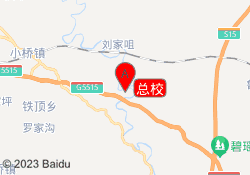 总校