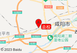 总校