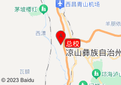 总校