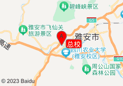 总校
