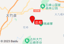 总校