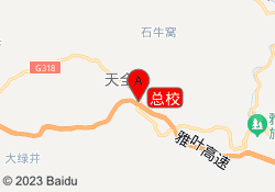 总校