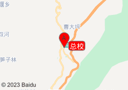 总校