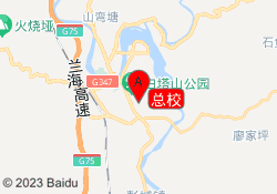 总校