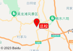 总校