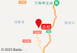 总校