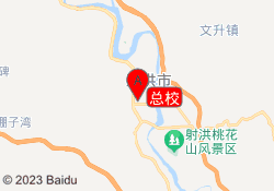 总校
