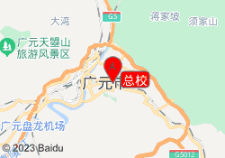 总校