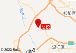 总校