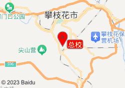 总校