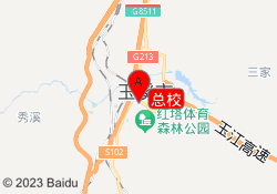 总校