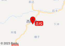 总校