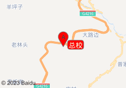 总校