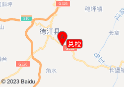总校