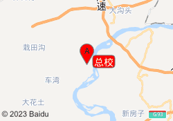 总校