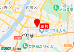 总校