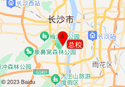 总校