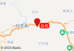 总校