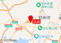 总校