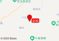 总校