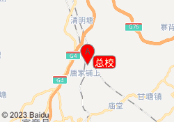 总校