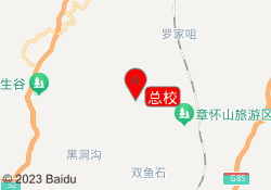 总校