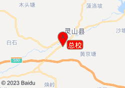 总校