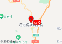 总校