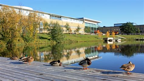 瑞典于默奥大学