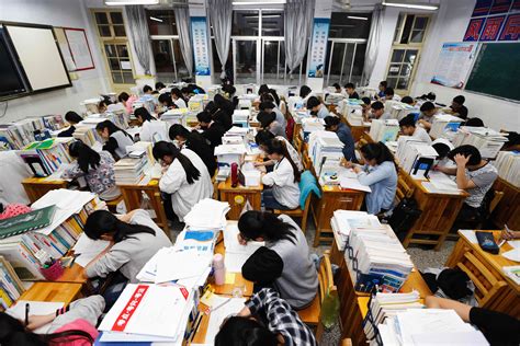 台州纳思学院—初中语文一对一定制课程