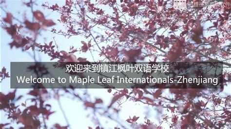 镇江枫叶国际学校小学课程