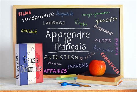 新世界法语课程
