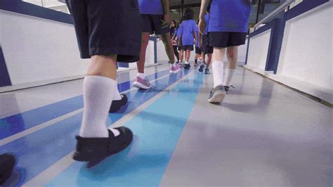 美林湖国际学校小学中英双语课程