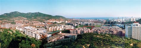 青岛科技大学意大利（免学费）四校联合升学计划2021年招生简章