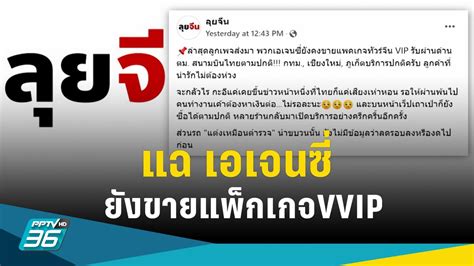 2020年初中语文vip辅导班
