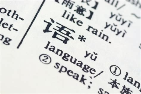 2020年高三语文1对1辅导课程