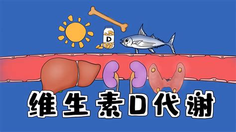 二級(jí)消防工程師精講班