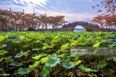長春橋少兒街舞培訓(xùn)