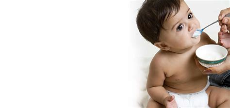 純手工果蔬寶寶輔食培訓(xùn)