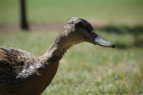 久久鴨脖培訓(xùn)