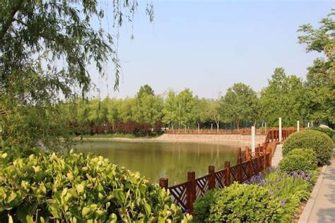 鄭州工業(yè)應(yīng)用技術(shù)學(xué)院考研專業(yè)課一對(duì)一輔導(dǎo)