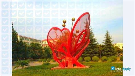 河南牧業(yè)經(jīng)濟學院考研專業(yè)課一對一輔導班