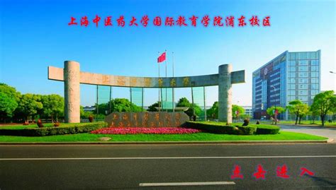 上海中醫(yī)藥大學考研專業(yè)課一對一輔導班