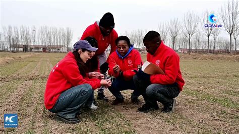 中國農業(yè)大學考研專業(yè)課一對一輔導班