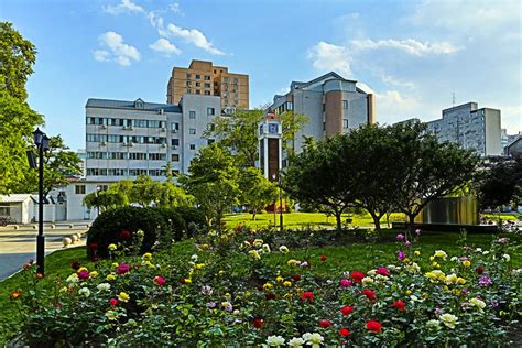 外交學(xué)院考研專業(yè)課一對(duì)一輔導(dǎo)班