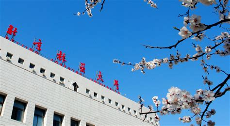 北京林業(yè)大學(xué)考研專業(yè)課一對(duì)一輔導(dǎo)班